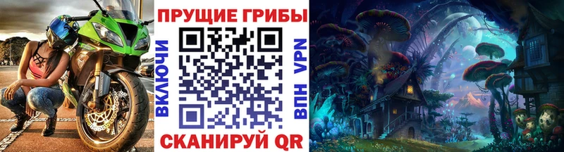 Псилоцибиновые грибы прущие грибы  ссылка на мегу tor  Железногорск-Илимский  мориарти какой сайт  где купить наркотик 